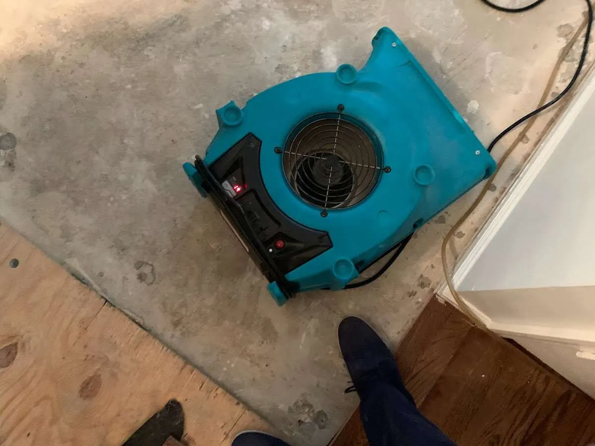 Air mover drying subfloor during Commercial Water Damage Restoration in Bellair-Meadowbrook Terrace
